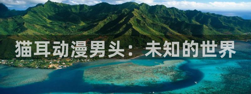 omofun动漫官网正版下载：猫耳动漫男头：未知的世界