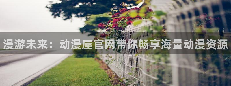 omofun动漫网在线观看：漫游未来：动漫屋官网带你畅享海量动漫资源