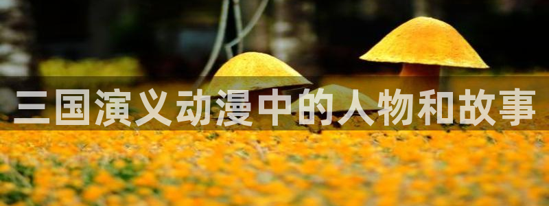 omofun动漫网页版：三国演义动漫中的人物和故事