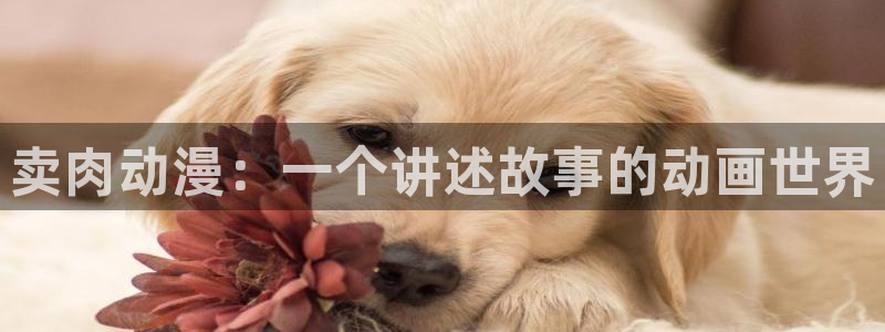omofun动漫官方app下载：卖肉动漫：一个讲述故事的动画世界