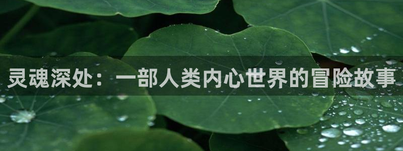 omofun官方网页：灵魂深处：一部人类内心世界的冒险故事